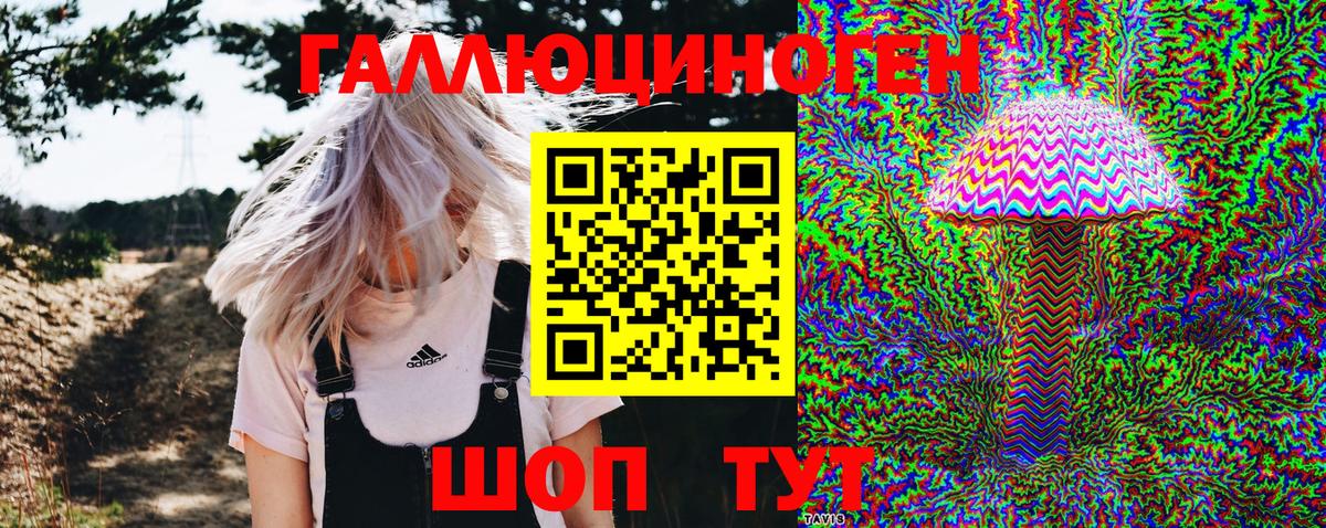 Псилоцибиновые грибы мицелий Арзамас