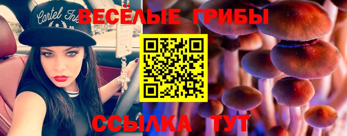 наркотики  Вход с VPN  Арзамас  Галлюциногенные грибы GOLDEN TEACHER 